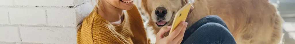 Rencontres célibataires en Belgique | Inscription Gratuite